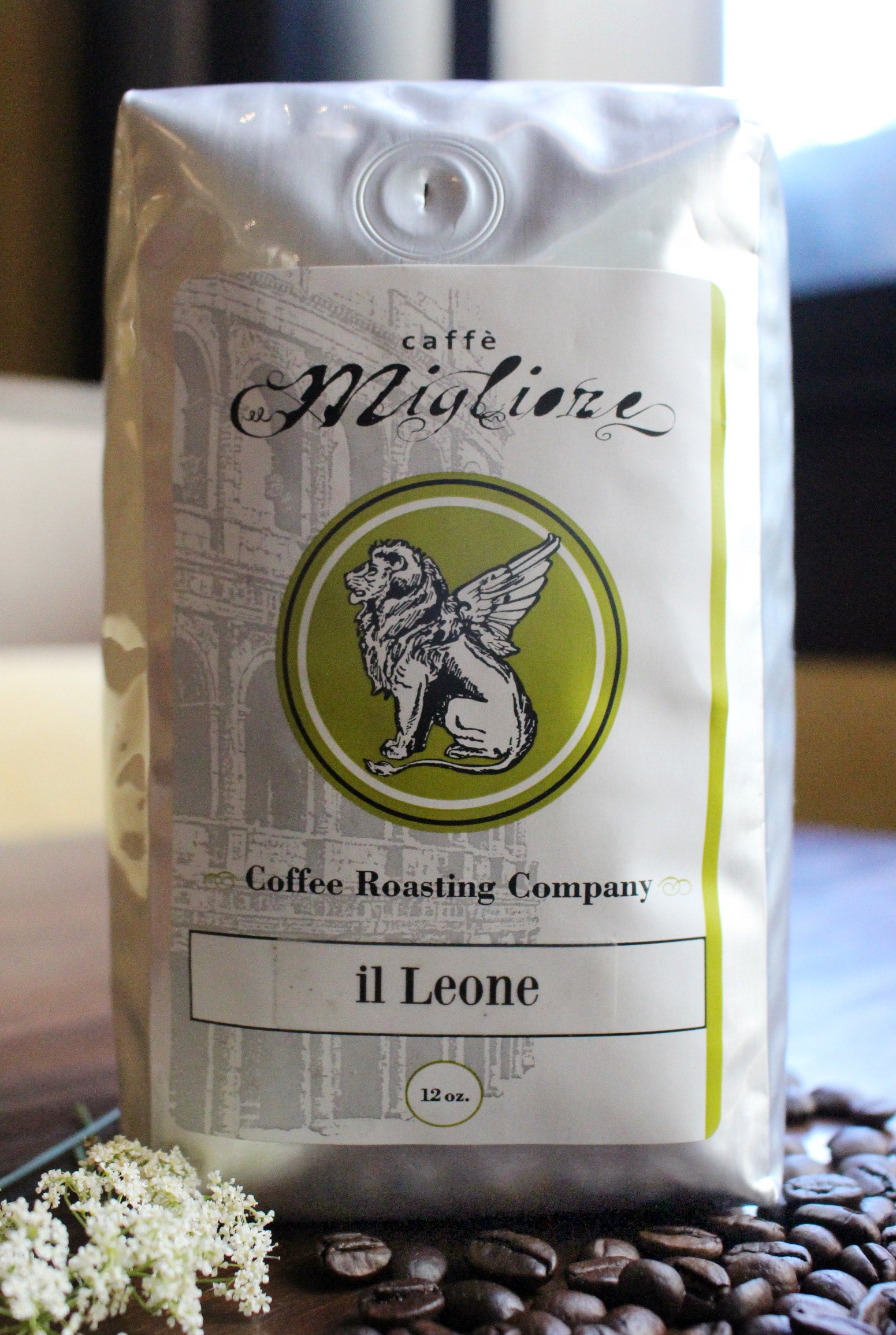 il Leone